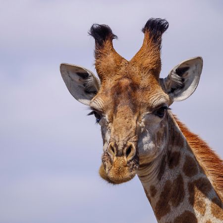 Nkomazi Game Reserve By Newmark Badplaas Ngoại thất bức ảnh