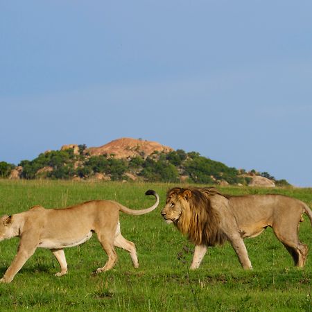 Nkomazi Game Reserve By Newmark Badplaas Ngoại thất bức ảnh