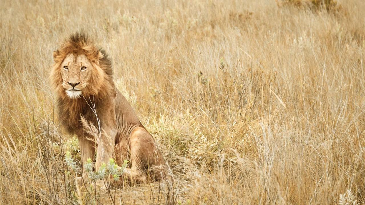 Nkomazi Game Reserve By Newmark Badplaas Ngoại thất bức ảnh