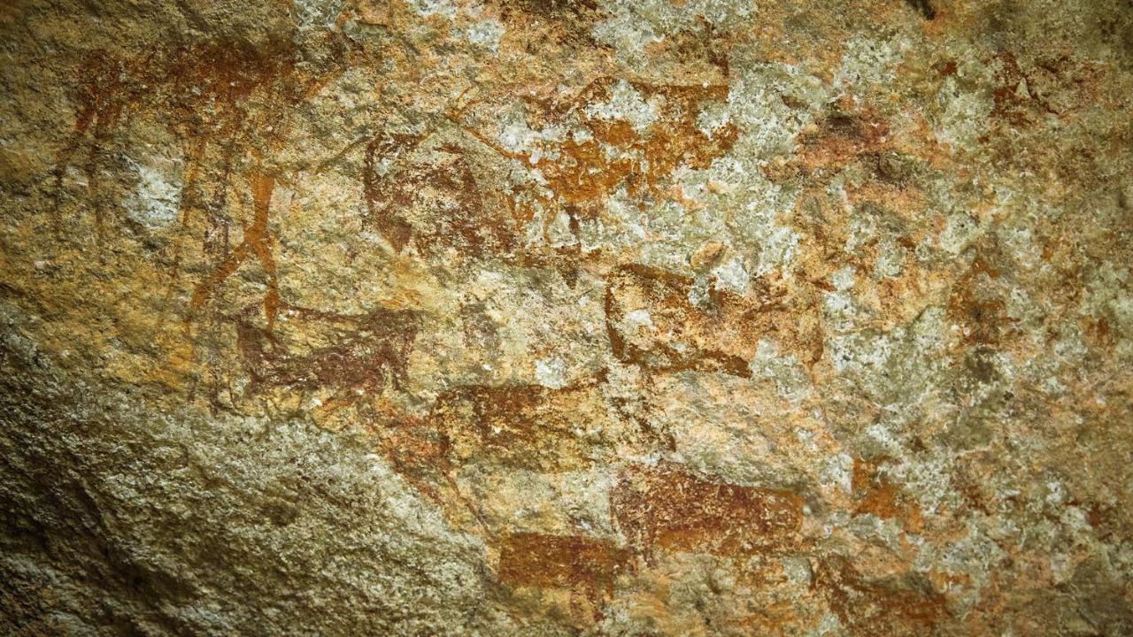 Nkomazi Game Reserve By Newmark Badplaas Ngoại thất bức ảnh