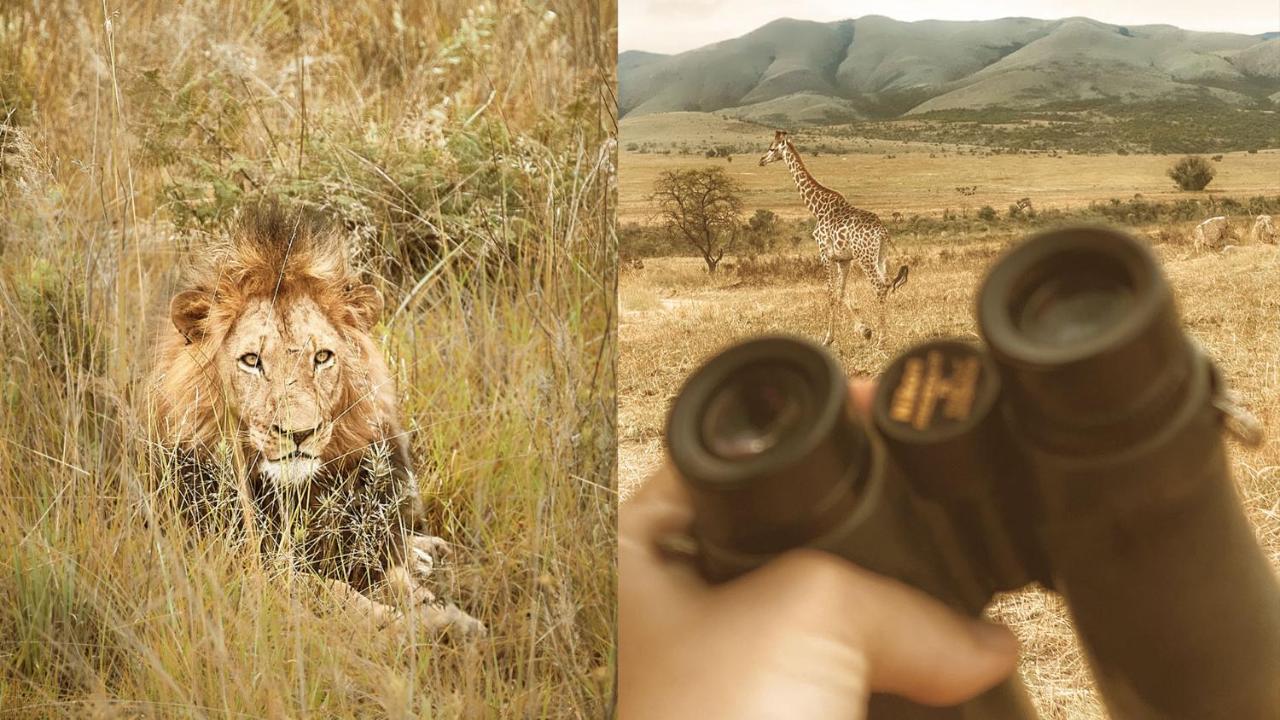 Nkomazi Game Reserve By Newmark Badplaas Ngoại thất bức ảnh