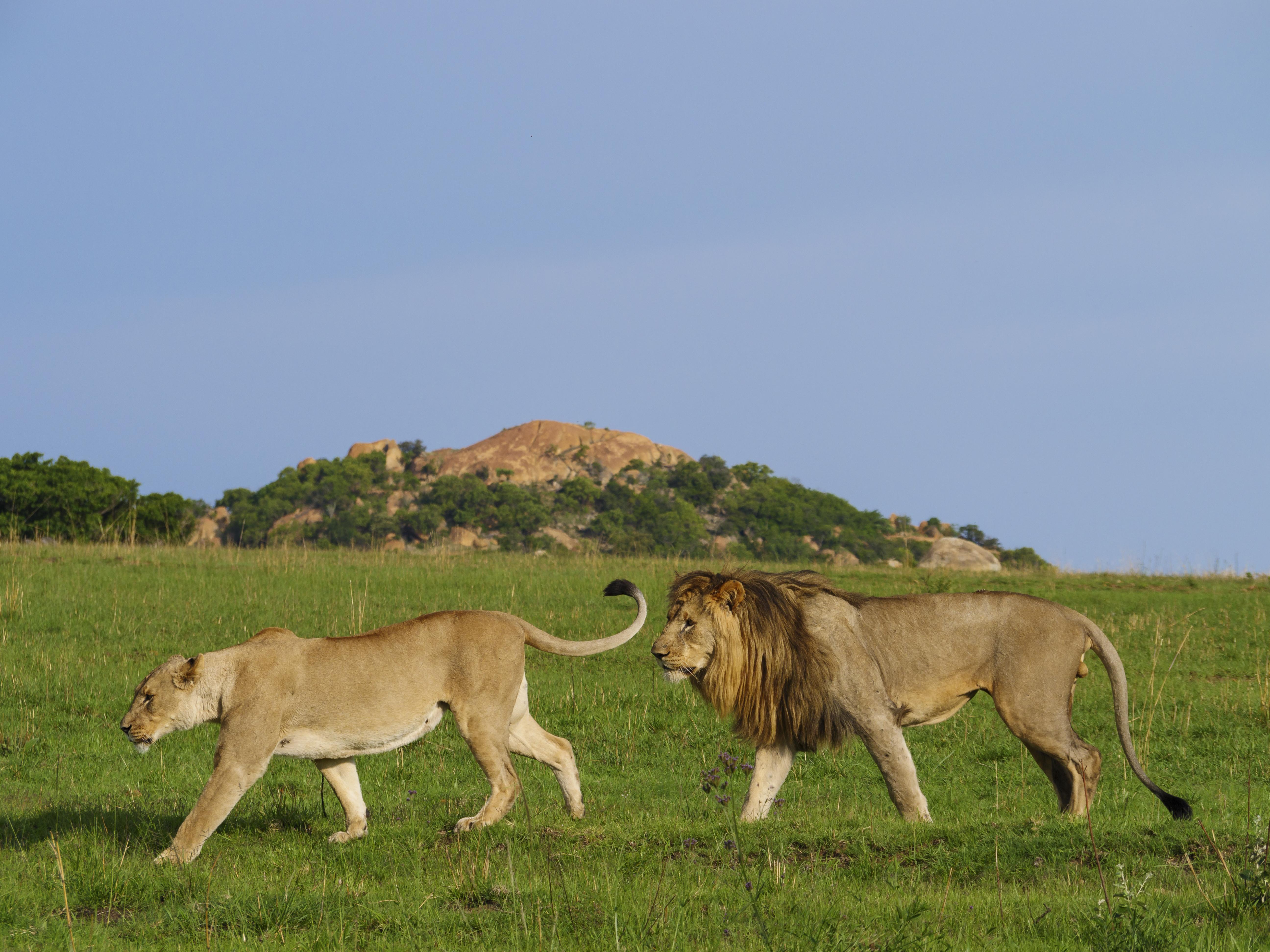 Nkomazi Game Reserve By Newmark Badplaas Ngoại thất bức ảnh