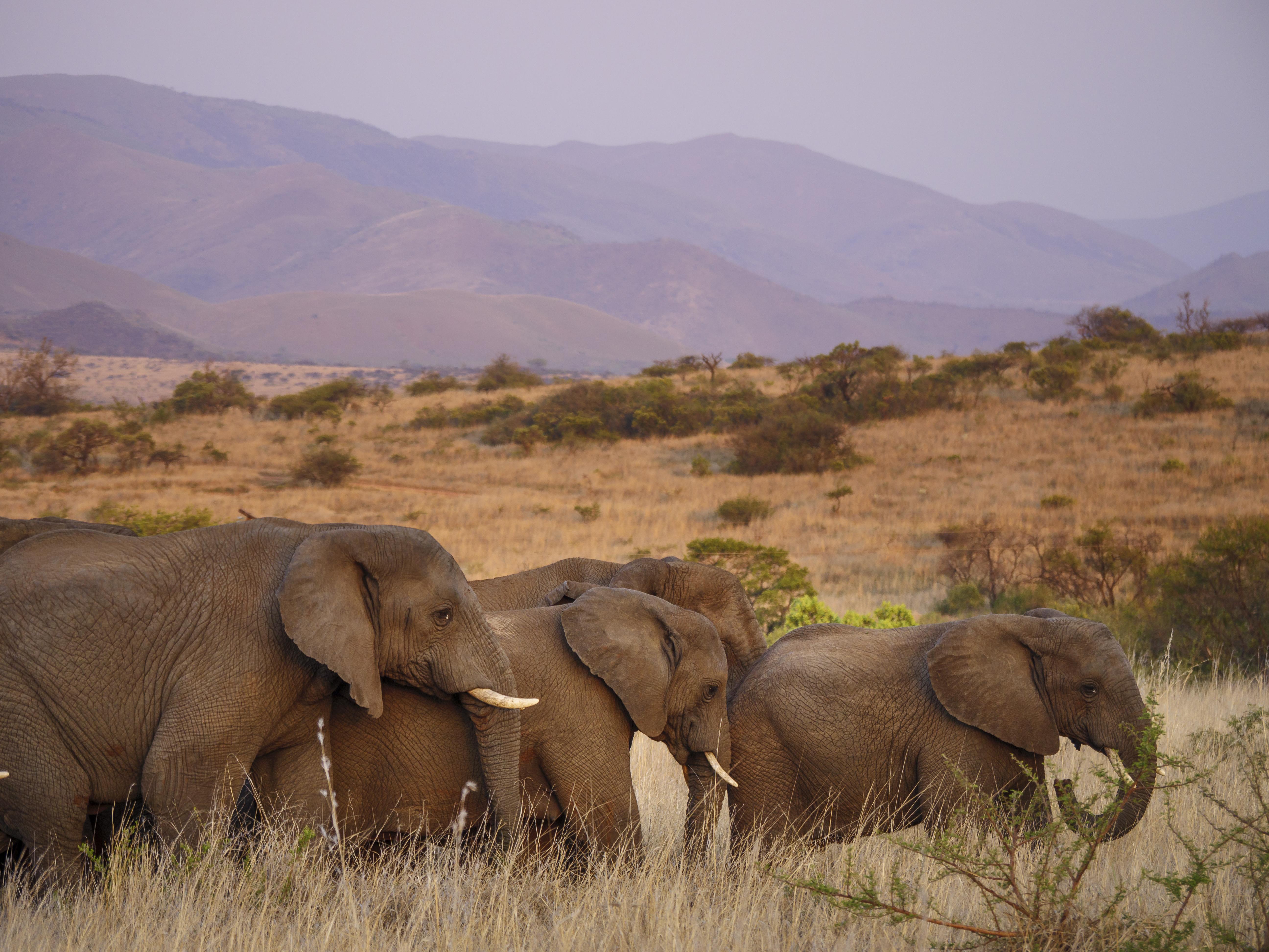 Nkomazi Game Reserve By Newmark Badplaas Ngoại thất bức ảnh