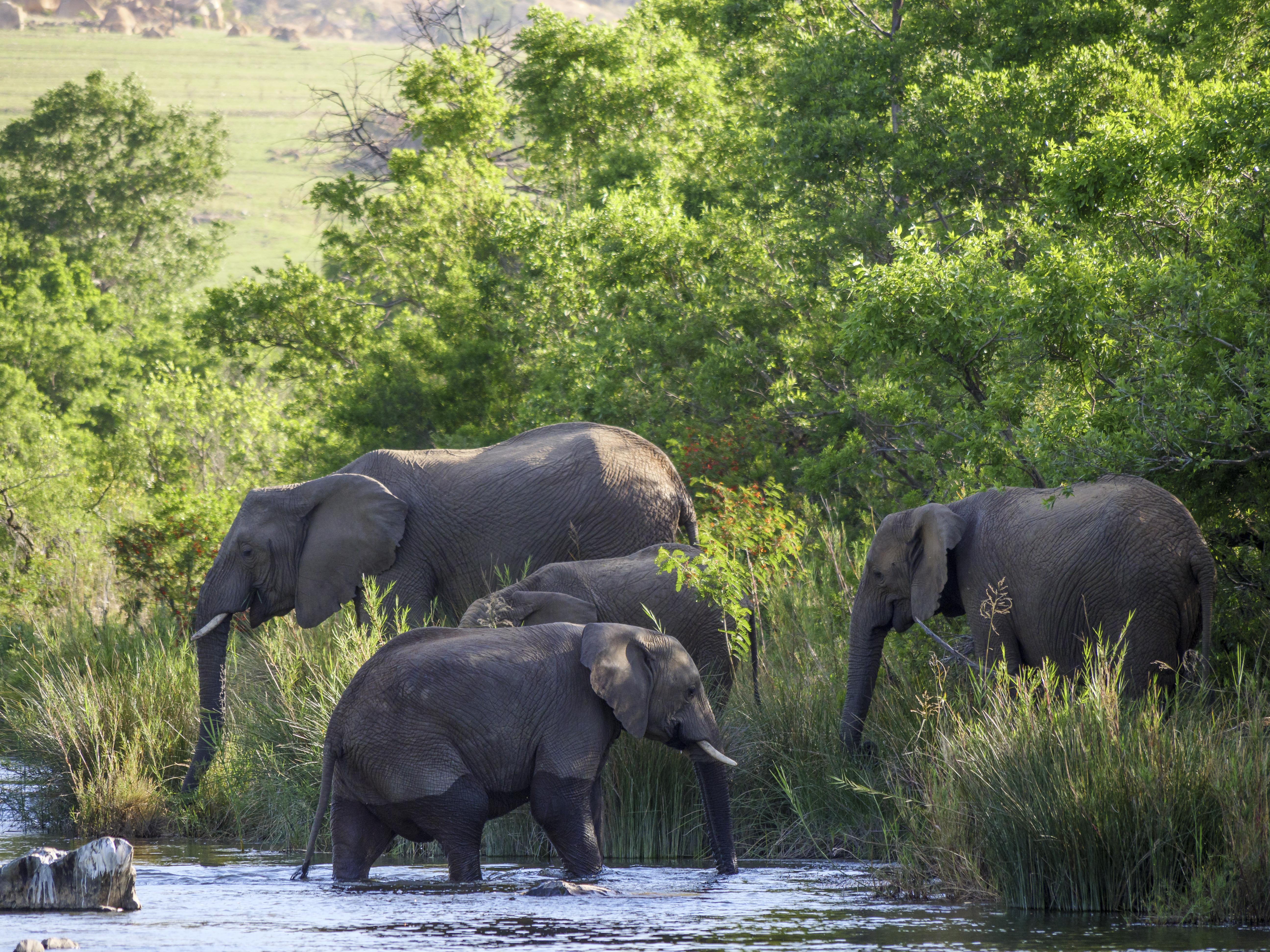 Nkomazi Game Reserve By Newmark Badplaas Ngoại thất bức ảnh